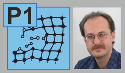P1 – Chemistry at the Crack Tip