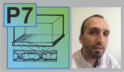P7 – Collective Phenomena in Failure at Complex Interfaces