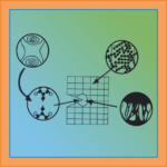 P12 - Postdoctoral Project: Quantum-to-Continuum Model of Thermoset Fracture