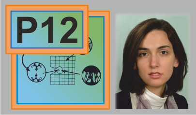 P12 – Postdoctoral Project: Quantum-to-Continuum Model of Thermoset Fracture