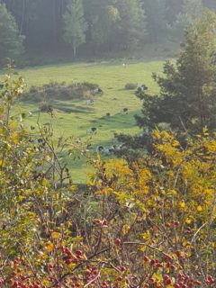 Landscape in Beilngries